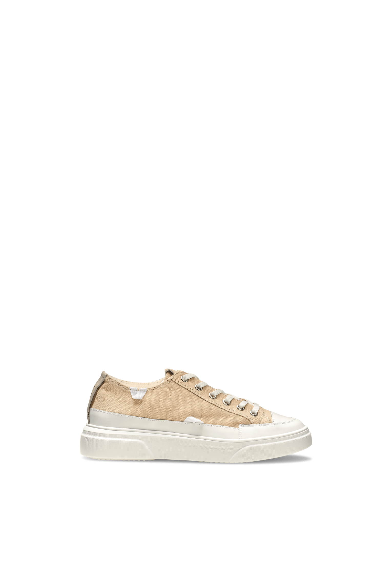 Canvas Lex Low